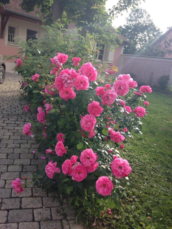 Rose Garden Mezzanine Bed & Breakfast Giverny Exterior photo